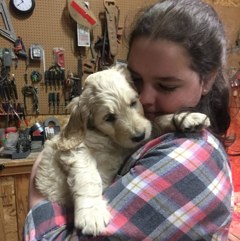 Meet your Posher, Charlotte